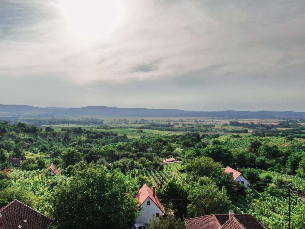 Hillside Vendeghaz A Szent Gyoergy-Hegyen Βίλα Raposka Εξωτερικό φωτογραφία